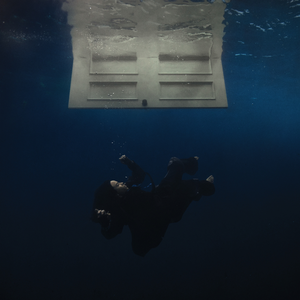 欧美人与禽z0z0性3b
