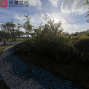 欧美人与禽z0z0性3b
